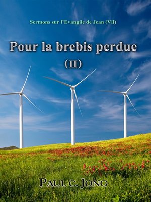 cover image of Pour la brebis perdue ( II )--Sermons sur l'Evangile de Jean (VII)